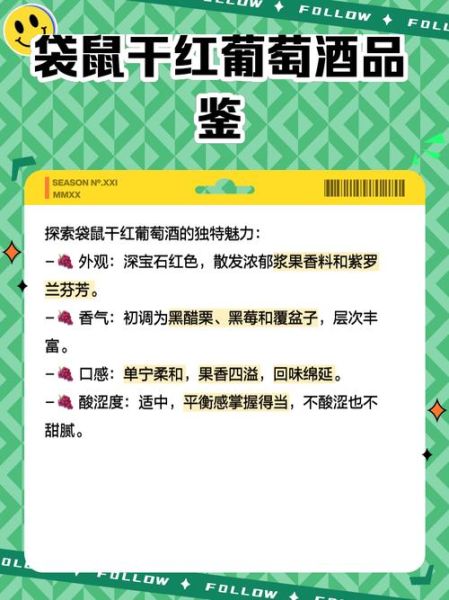 袋鼠红酒怎么样_袋鼠红酒好喝吗-第3张图片-俊逸知识馆