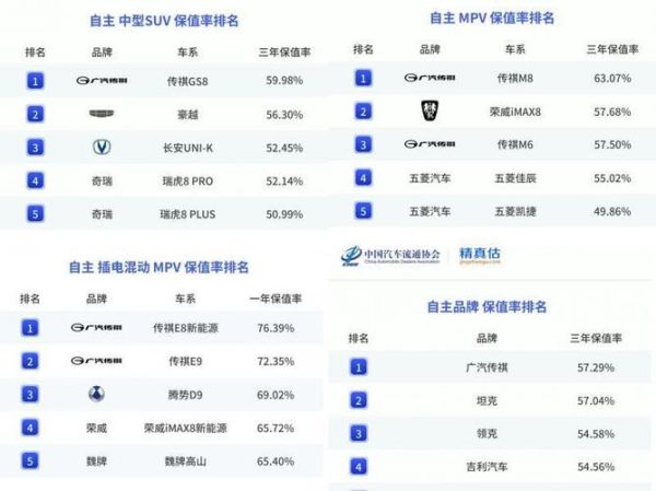 汽车保有量最多的品牌_哪些车型最保值-第3张图片-俊逸知识馆