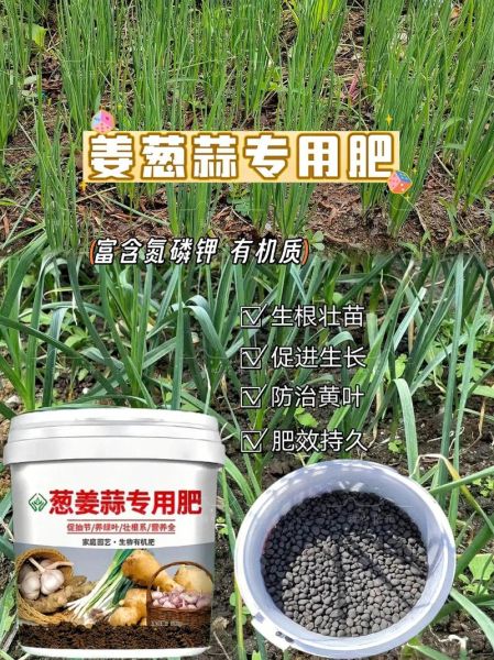 有机肥和复合肥哪个好_如何科学施肥提高产量-第3张图片-俊逸知识馆