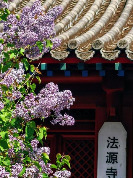 丁香园怎么样_丁香园可靠吗-第3张图片-俊逸知识馆