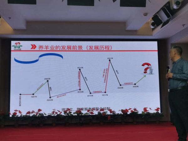 羊市场价格走势_养羊赚钱吗-第2张图片-俊逸知识馆