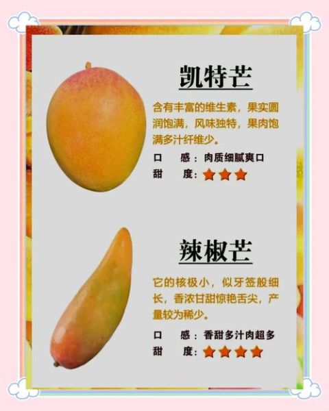 芒果多少钱一斤_芒果怎么挑才甜-第2张图片-俊逸知识馆