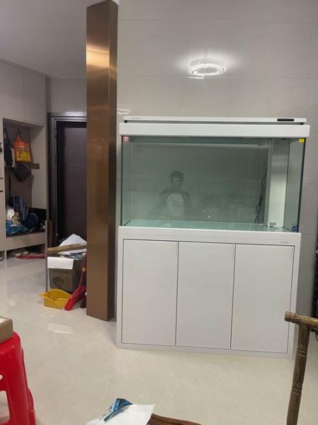 鱼缸什么牌子好_鱼缸多久换一次水-第1张图片-俊逸知识馆