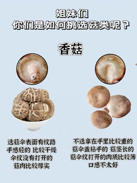 蘑菇价格为什么忽高忽低_如何挑选新鲜蘑菇-第1张图片-俊逸知识馆