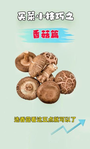 蘑菇价格为什么忽高忽低_如何挑选新鲜蘑菇-第2张图片-俊逸知识馆