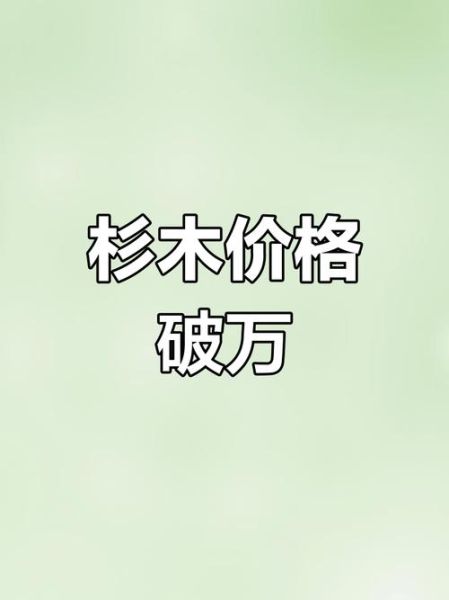 杉木价格多少钱一方_杉木市场行情走势-第2张图片-俊逸知识馆
