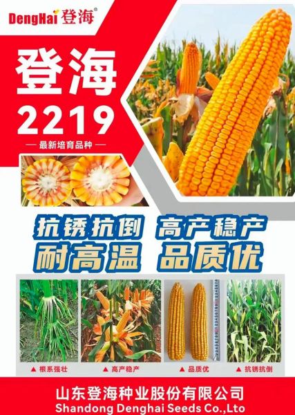 登海种业股票值得买吗_登海种业股价走势分析-第2张图片-俊逸知识馆