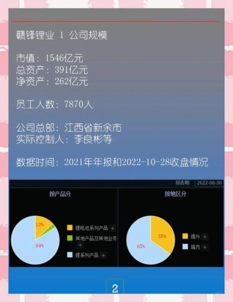 002460股票值得长期持有吗_赣锋锂业未来走势分析-第3张图片-俊逸知识馆