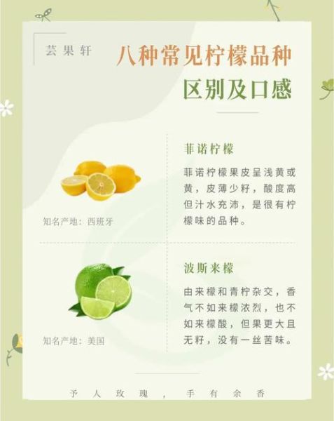 柠檬市场是什么_如何避免买到次品-第2张图片-俊逸知识馆