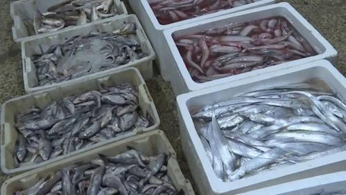 龙头市场在哪里_龙头市场怎么进货-第2张图片-俊逸知识馆