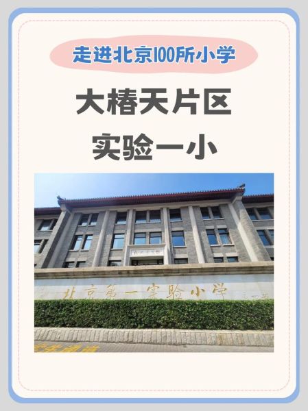 北京市第一实验小学怎么样_招生条件是什么-第1张图片-俊逸知识馆