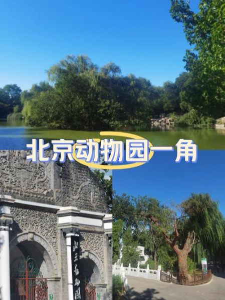 北京动物园好玩吗_值得去吗-第2张图片-俊逸知识馆