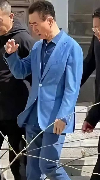 王健林现在怎么样了_王健林最新消息-第2张图片-俊逸知识馆