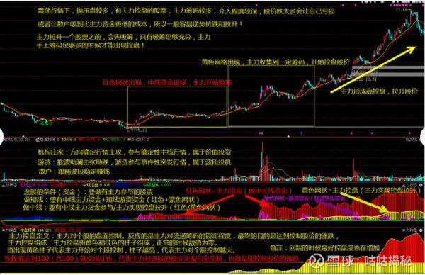 浙江富润股票怎么样_浙江富润股票未来走势-第2张图片-俊逸知识馆