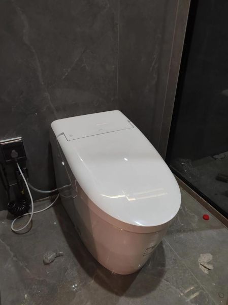 toto智能马桶怎么样_值不值得买-第1张图片-俊逸知识馆