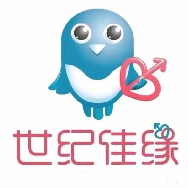 世纪佳缘怎么样_世纪佳缘靠谱吗-第2张图片-俊逸知识馆