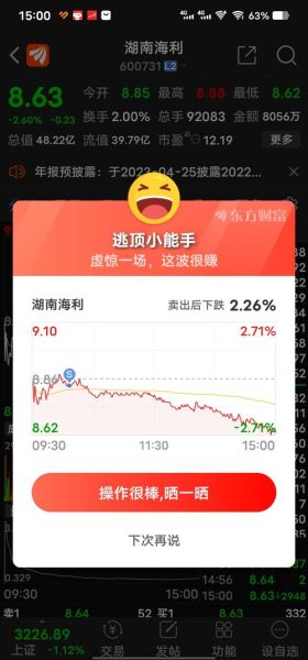 600731股票行情怎么样_湖南海利后市还能涨吗-第3张图片-俊逸知识馆