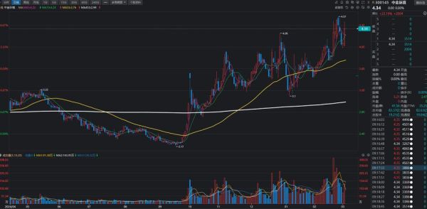 300145股票行情分析_未来走势预测-第3张图片-俊逸知识馆