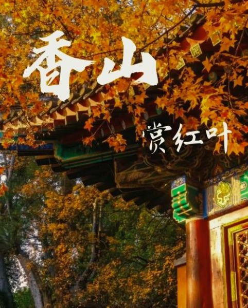 北京香山今天穿什么_香山红叶最佳观赏时间-第2张图片-俊逸知识馆