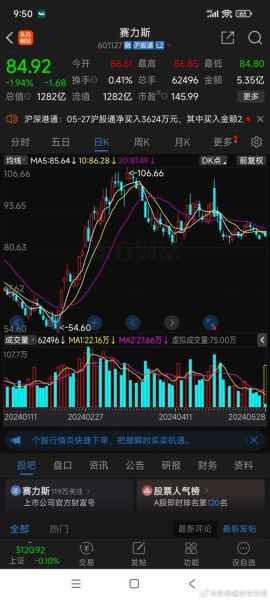 赛力斯股票值得买吗_赛力斯股票未来走势如何-第2张图片-俊逸知识馆