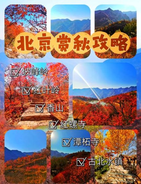 北京秋天去哪玩_北京秋季旅游最佳时间-第2张图片-俊逸知识馆 北京秋天去哪玩_北京秋季旅游最佳时间-第2张图片-俊逸知识馆