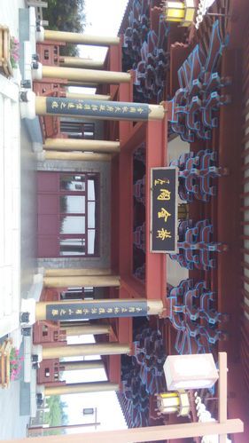 c游怎么样_c游靠谱吗-第1张图片-俊逸知识馆