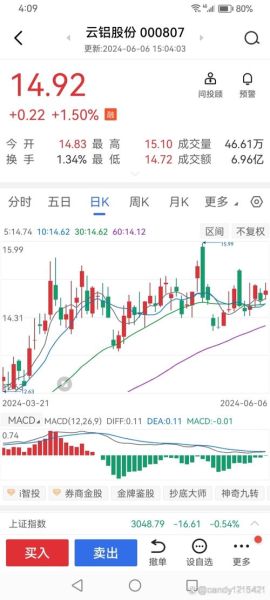 云铝股票今日走势_云铝股份值得长期持有吗-第3张图片-俊逸知识馆