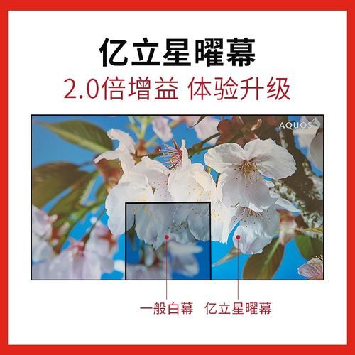 亿立幕布怎么样_亿立幕布值得买吗-第2张图片-俊逸知识馆