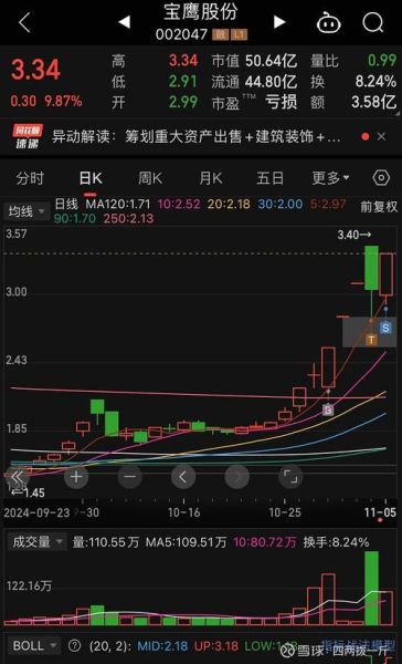 宝鹰股份股票怎么样_宝鹰股份未来走势预测-第2张图片-俊逸知识馆