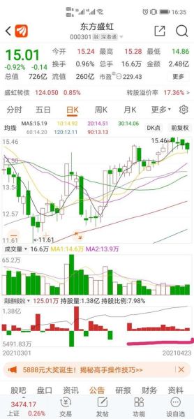 000301股票怎么样_东方盛虹未来走势分析-第1张图片-俊逸知识馆