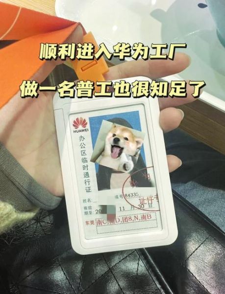 oppo工作怎么样_oppo员工真实待遇-第3张图片-俊逸知识馆