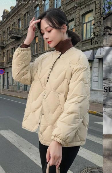 白鸭绒羽绒服怎么样_白鸭绒羽绒服保暖吗-第1张图片-俊逸知识馆 白鸭绒羽绒服怎么样_白鸭绒羽绒服保暖吗-第1张图片-俊逸知识馆