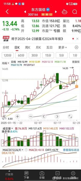 300166股票怎么样_东方国信未来走势-第3张图片-俊逸知识馆
