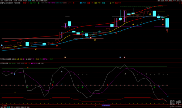 600075股票值得买吗_新疆天业未来走势如何-第2张图片-俊逸知识馆