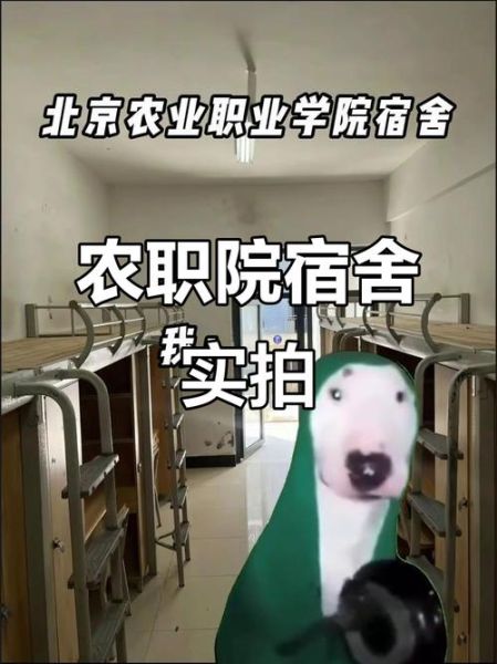北京农业职业学院宿舍怎么样_住宿条件好吗-第1张图片-俊逸知识馆
