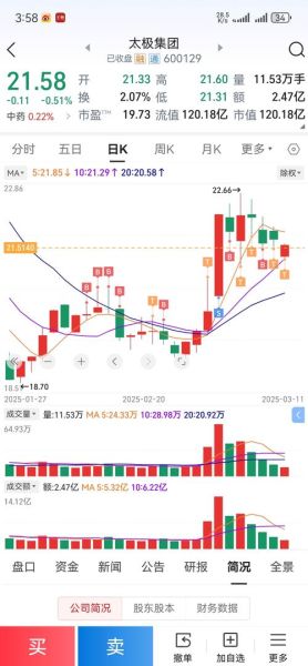 太极股份股票怎么样_值得长期持有吗-第2张图片-俊逸知识馆 太极股份股票怎么样_值得长期持有吗-第2张图片-俊逸知识馆