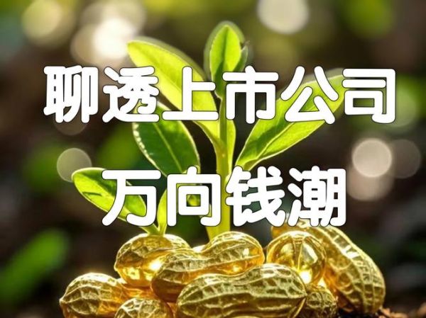 万向集团股票怎么样_万向集团股票值得买吗-第1张图片-俊逸知识馆