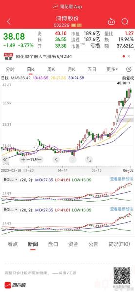 鸿博股票值得投资吗_鸿博股票未来走势如何-第1张图片-俊逸知识馆