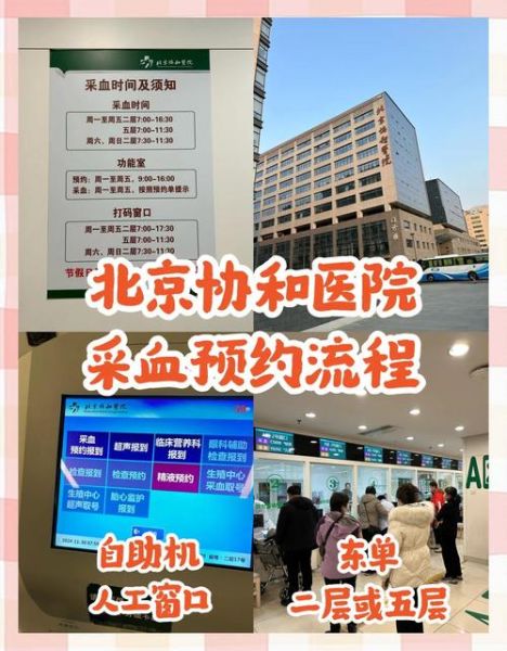 北京血液中心献血流程_北京血液中心预约方式-第1张图片-俊逸知识馆