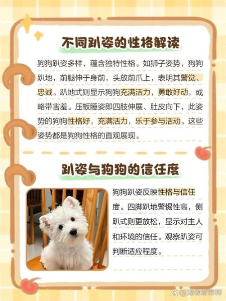 趴趴狗怎么样_趴趴狗好用吗-第3张图片-俊逸知识馆