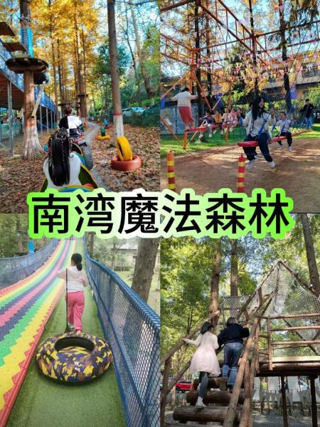 魔法森林怎么样_魔法森林门票多少钱-第3张图片-俊逸知识馆