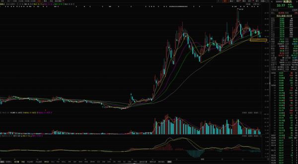 贝英美股票值得长期持有吗_贝英美股票未来走势分析-第1张图片-俊逸知识馆