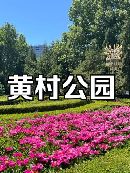 北京黄村在哪里_北京黄村有什么好玩的-第1张图片-俊逸知识馆