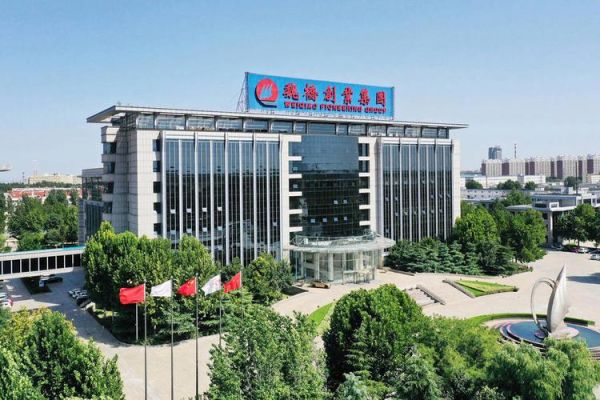 魏桥集团股票值得买吗_魏桥集团股票未来走势-第3张图片-俊逸知识馆