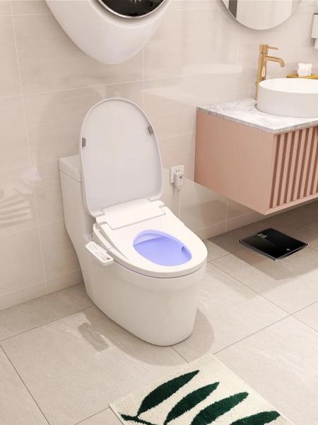 智能马桶盖怎么样_智能马桶盖哪个品牌好-第1张图片-俊逸知识馆