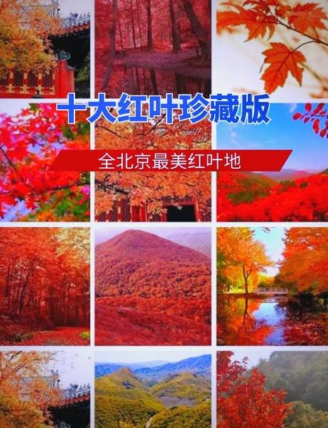 北京红叶什么时候最红_最佳观赏地点在哪-第3张图片-俊逸知识馆