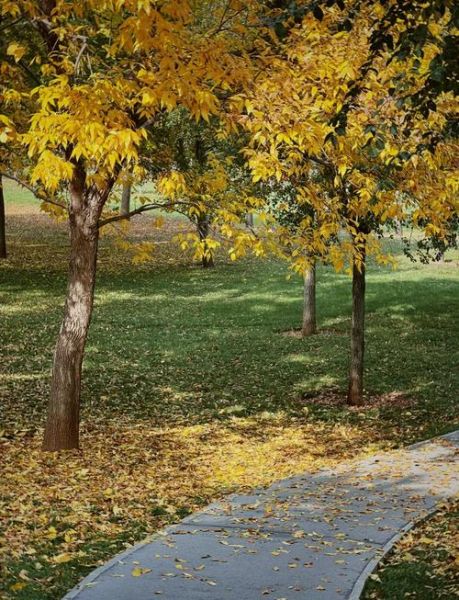 北京秋天哪里最美_北京秋天旅游攻略-第3张图片-俊逸知识馆 北京秋天哪里最美_北京秋天旅游攻略-第3张图片-俊逸知识馆