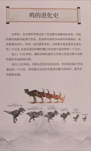 恐龙是怎么灭绝的_恐龙是怎么样演化的-第1张图片-俊逸知识馆