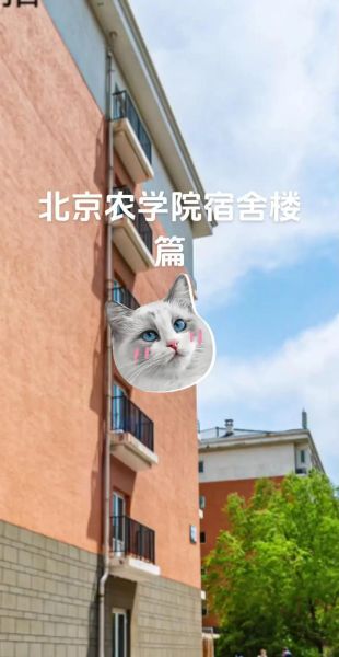 北京农学院宿舍怎么样_北京农学院宿舍条件如何-第3张图片-俊逸知识馆