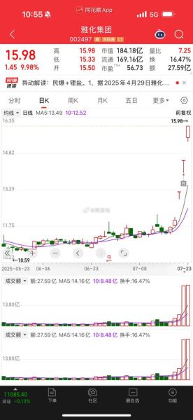 雅化集团股票怎么样_雅化集团值得长期持有吗-第1张图片-俊逸知识馆 雅化集团股票怎么样_雅化集团值得长期持有吗-第1张图片-俊逸知识馆